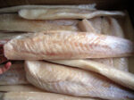 Filete Congrio - Imagen 3