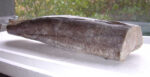 Merluza HGT - Imagen 2