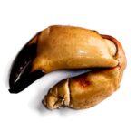 Pinza de jaiba 3 segmentos - Imagen 4
