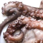 Pulpo Entero